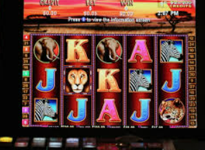 壹元娱乐官方网站最新版